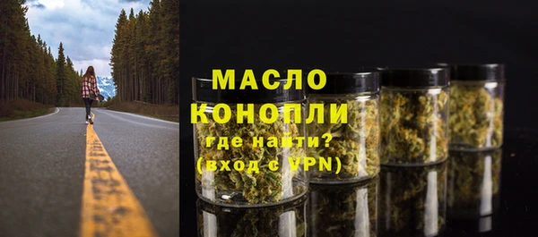 мдпв Осташков