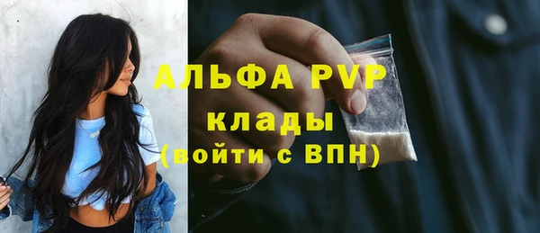 тгк Пестово