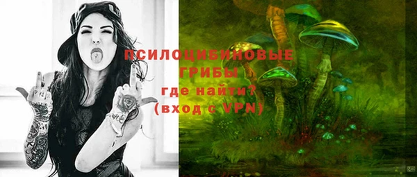 марки lsd Пересвет