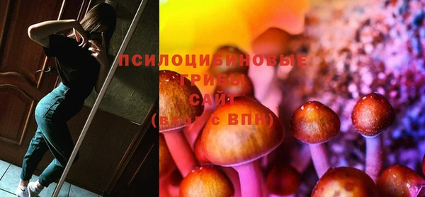 тгк Пестово