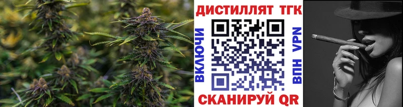 где найти   Багратионовск  ТГК THC oil 
